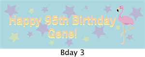Picture of Birthday Banner 3